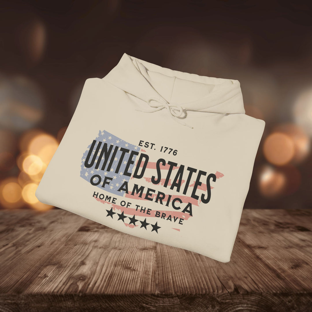 USA 1776 HOODIE