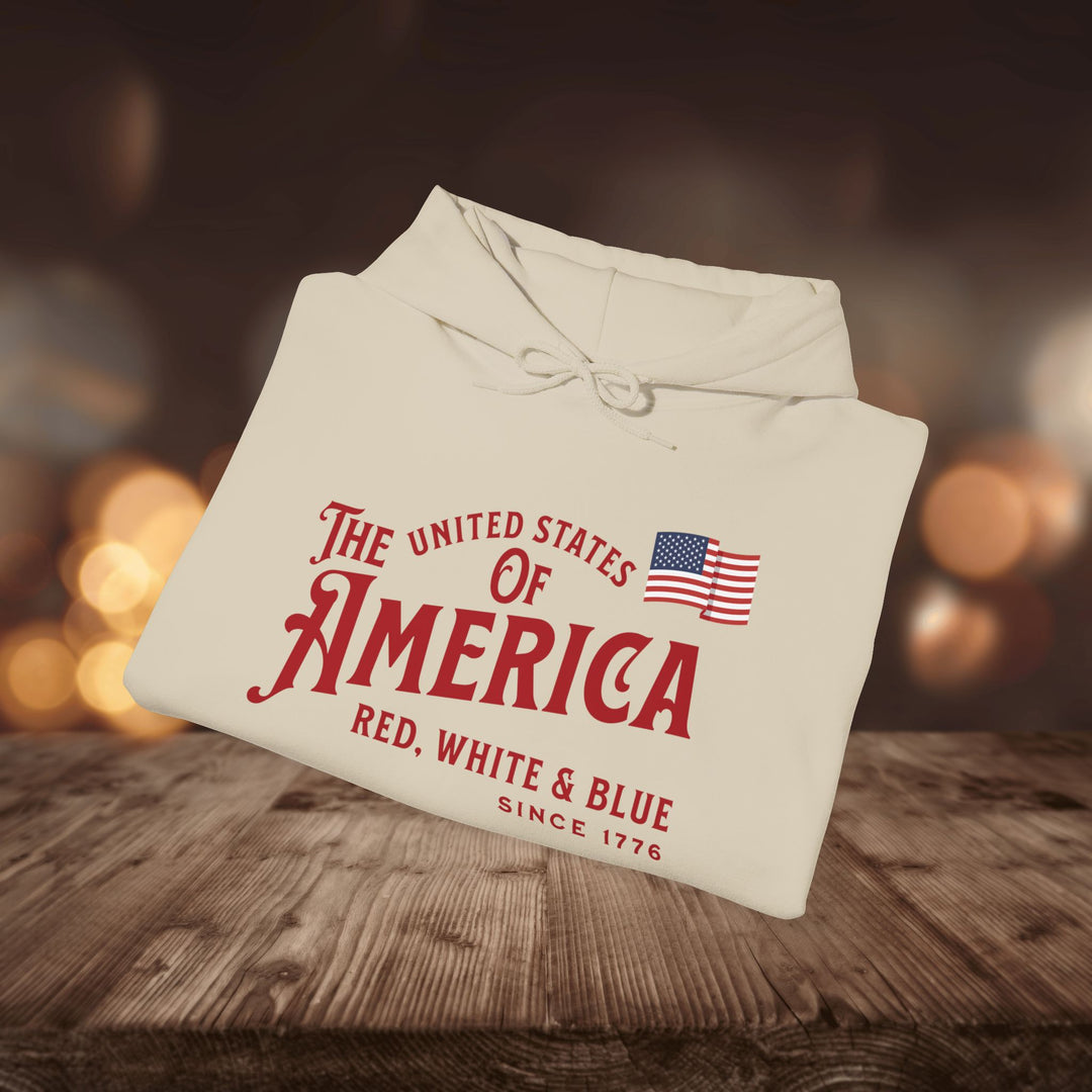 RED WHITE & BLUE HOODIE