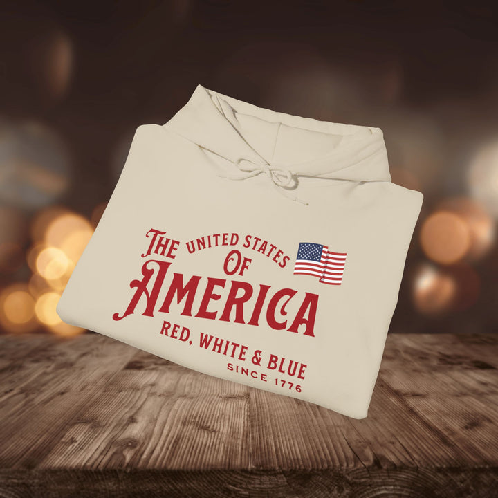 RED WHITE & BLUE HOODIE