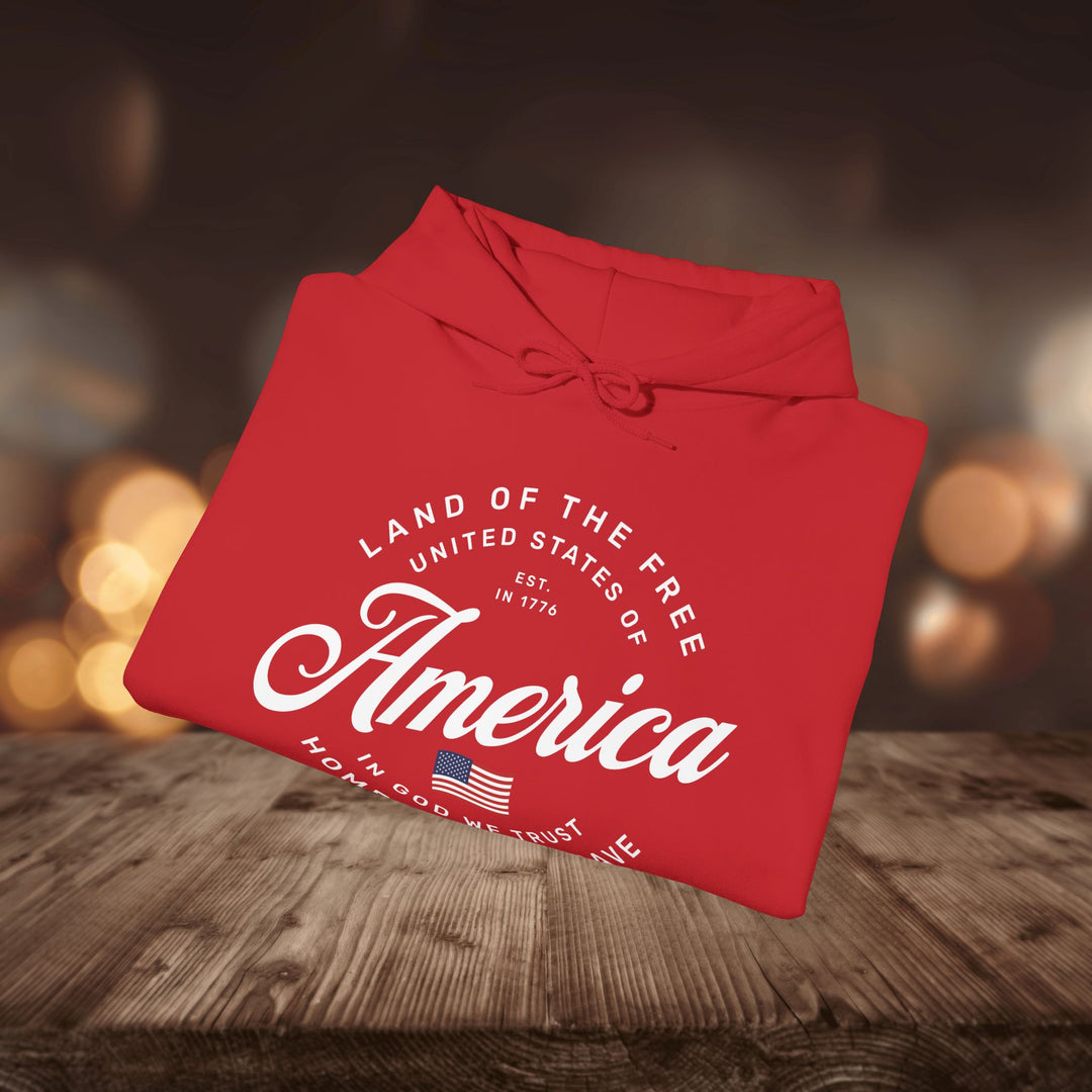 AMERICA HOODIE