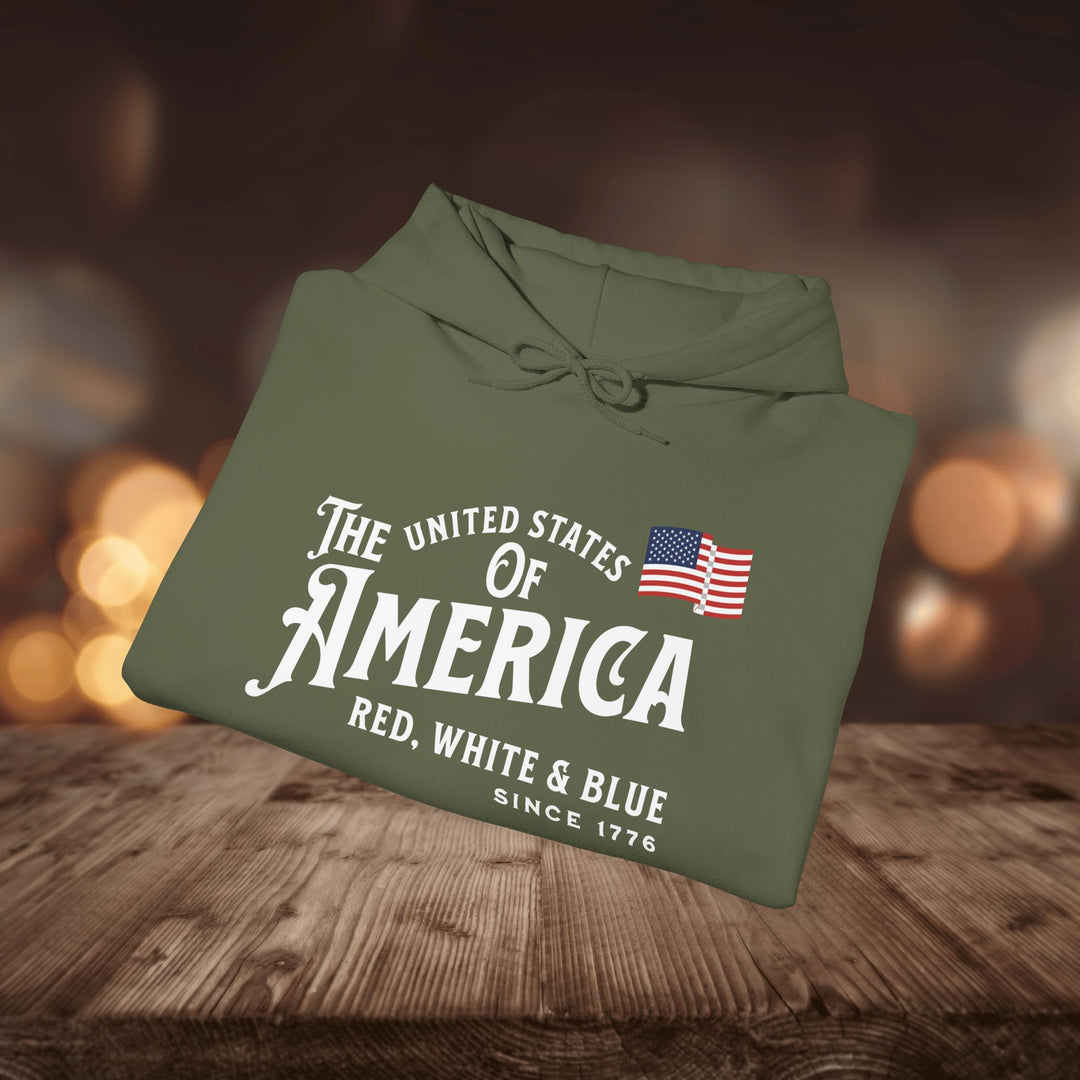 RED WHITE & BLUE HOODIE