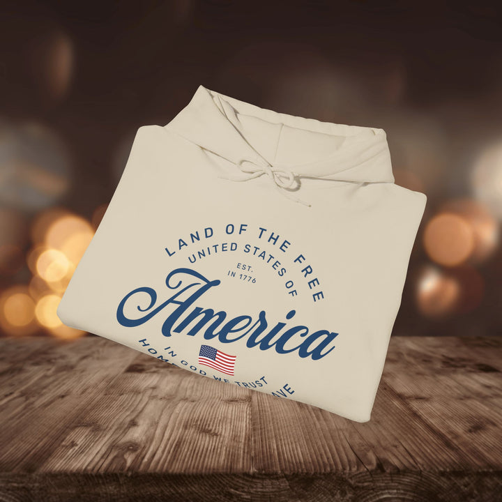 AMERICA HOODIE