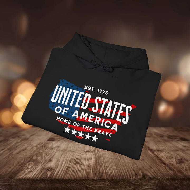 USA 1776 HOODIE