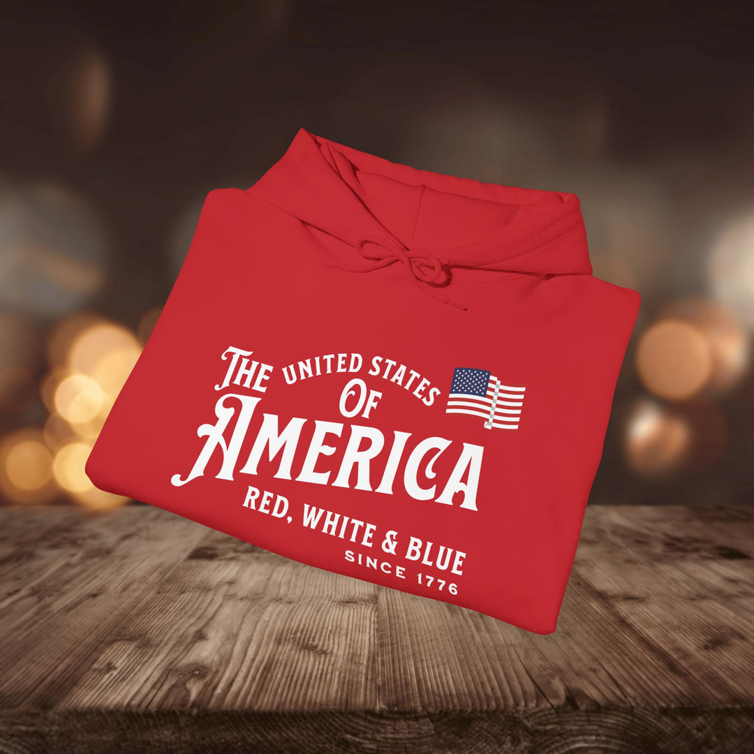 RED WHITE & BLUE HOODIE