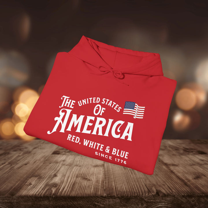 RED WHITE & BLUE HOODIE