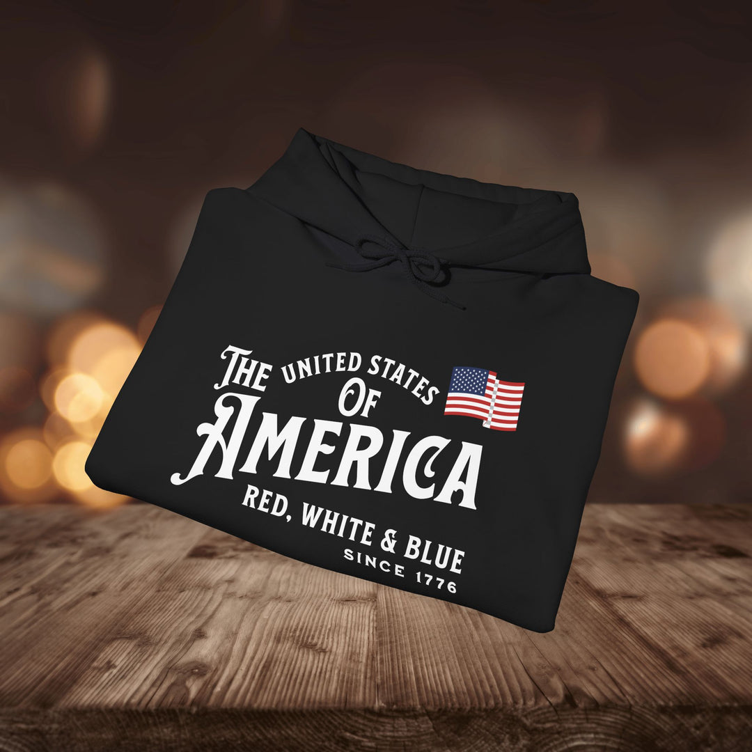 RED WHITE & BLUE HOODIE