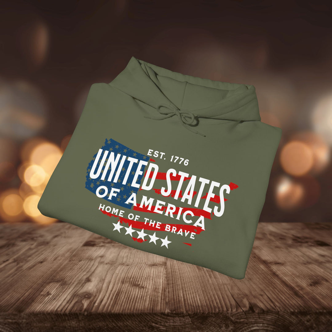 USA 1776 HOODIE