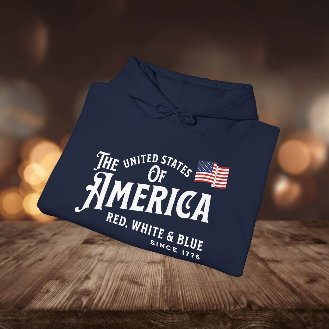 RED WHITE & BLUE HOODIE