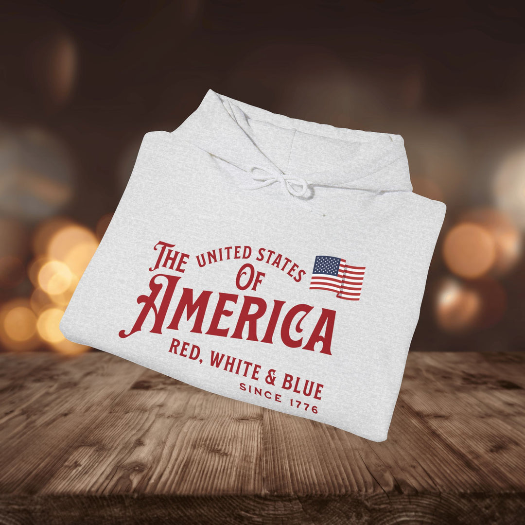 RED WHITE & BLUE HOODIE