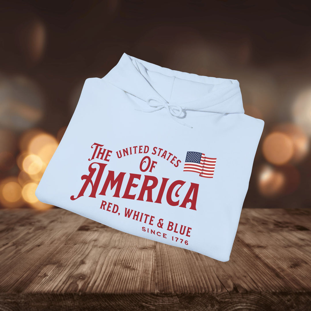 RED WHITE & BLUE HOODIE