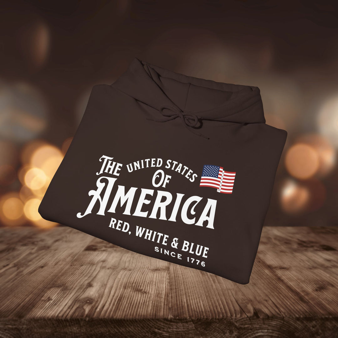 RED WHITE & BLUE HOODIE