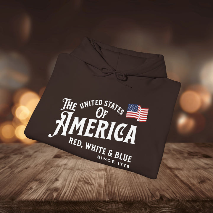 RED WHITE & BLUE HOODIE