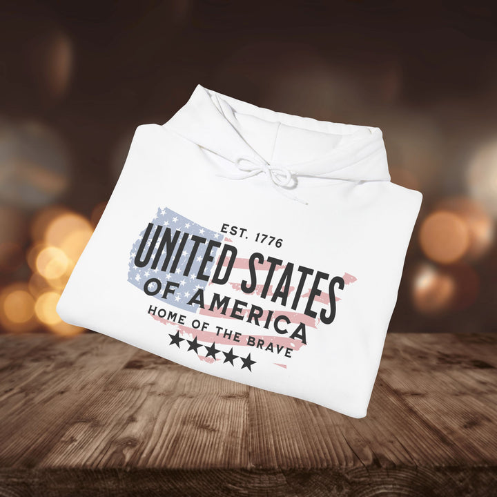 USA 1776 HOODIE