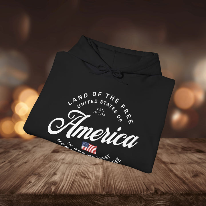 AMERICA HOODIE