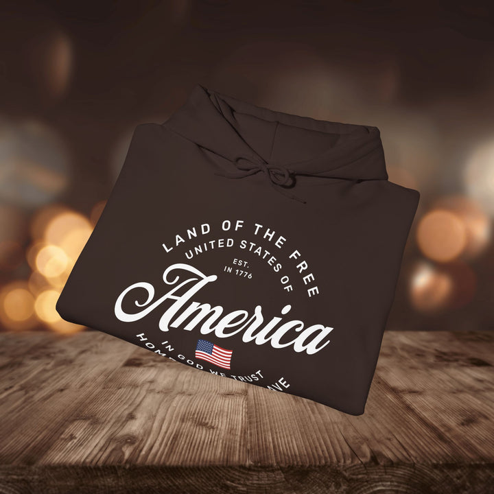 AMERICA HOODIE