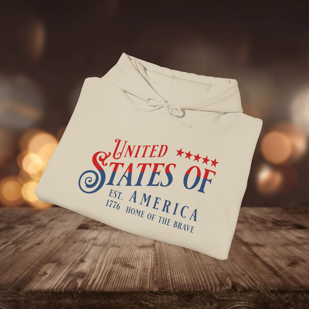 AMERICA 1776 HOODIE