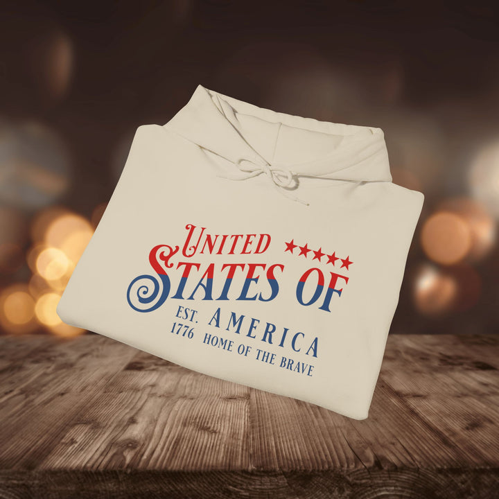 AMERICA 1776 HOODIE
